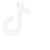 TikTok Logo