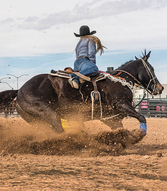 Las Vegas NFR