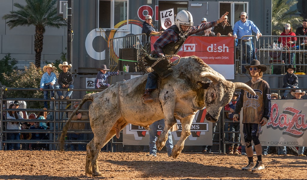 NFR 2019