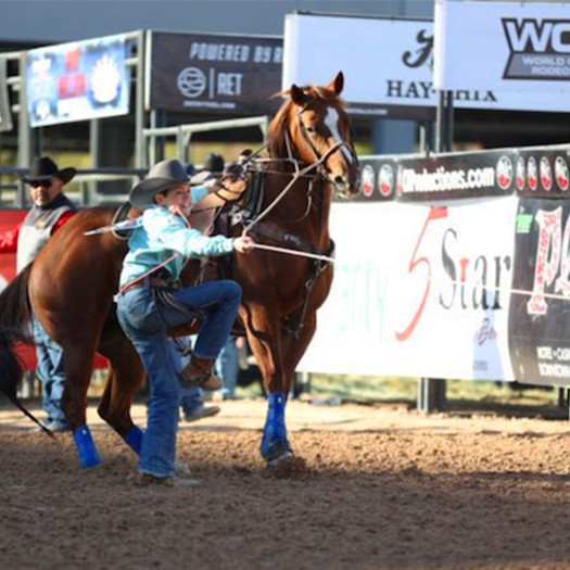 NFR Live FREE Rodeo 2023: How to Watch Las Vegas Rodeo all Games, TV  Coverage