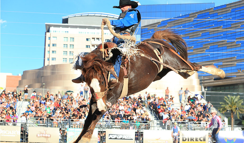 Las Vegas Days Rodeo Plaza Hotel and Casino