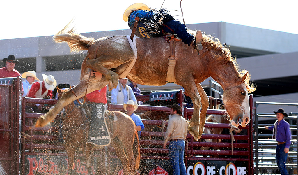 Las Vegas Days Rodeo Plaza Hotel and Casino