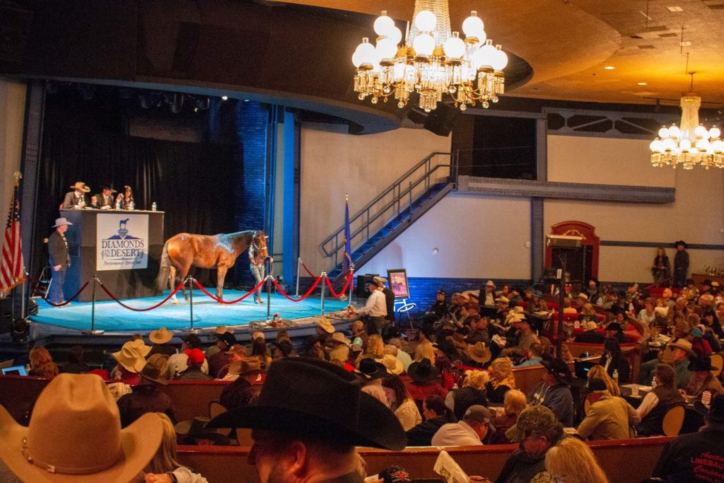 Horse Sale inside the Plaza Showroom