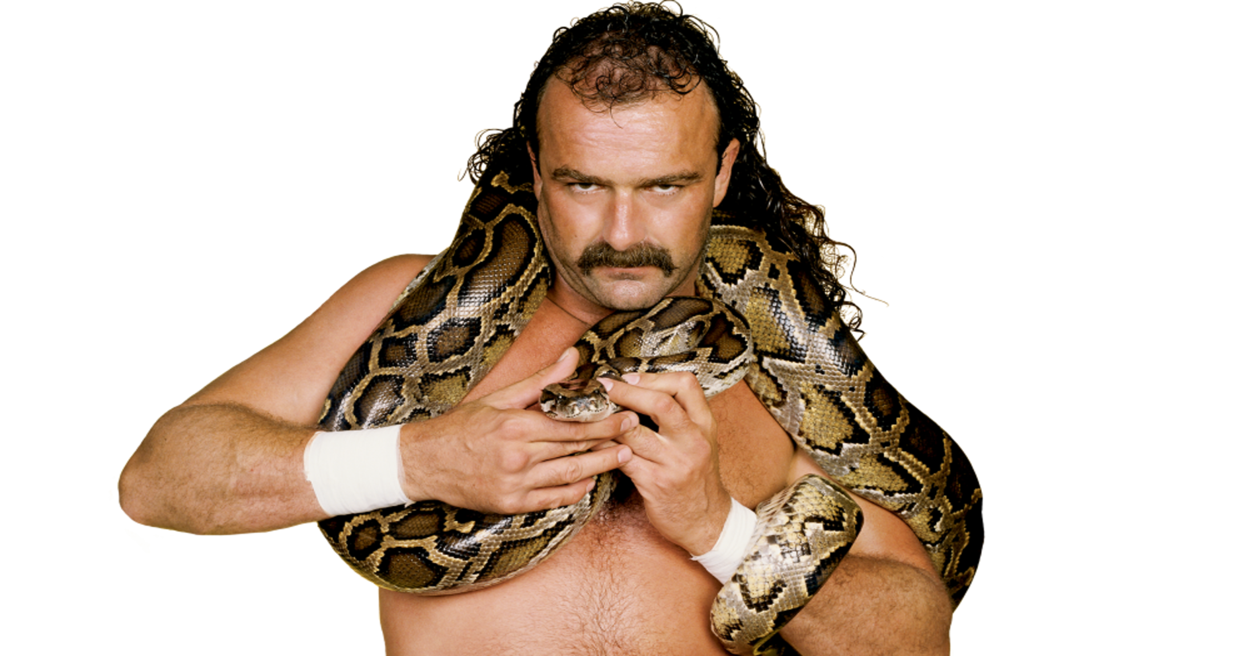 Jake 'The Snake' Roberts